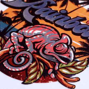 Rainbow DTF Film Heat Transfer printing DTF PET Film Textil