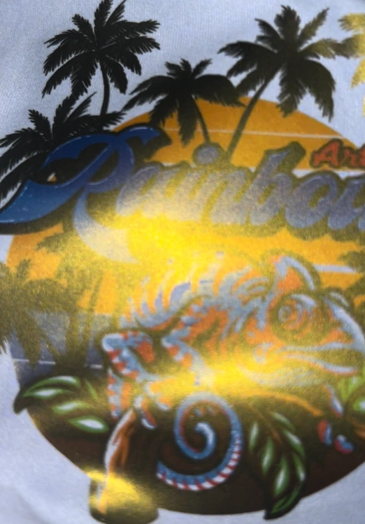 Gold Gilding DTF Film Heat transfer printing DTF PET Film